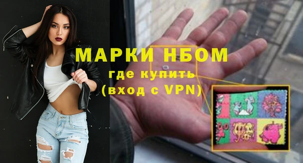 ECSTASY Бородино