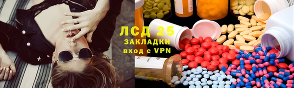 ECSTASY Бородино