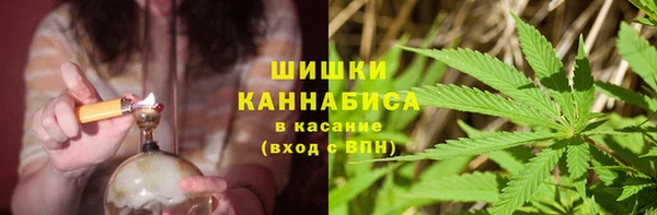 ПСИЛОЦИБИНОВЫЕ ГРИБЫ Бронницы