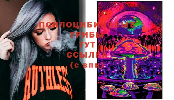 ECSTASY Бородино