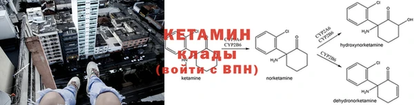 ПСИЛОЦИБИНОВЫЕ ГРИБЫ Бронницы