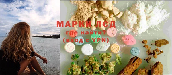 ECSTASY Бородино