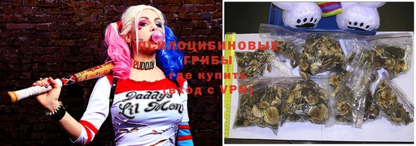 ПСИЛОЦИБИНОВЫЕ ГРИБЫ Бронницы