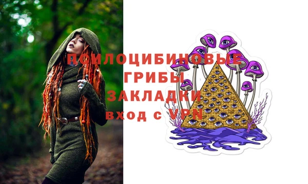 амф Бугульма