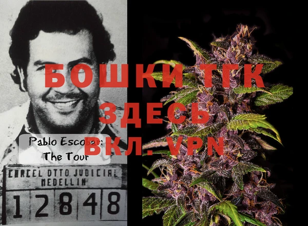 ECSTASY Бородино