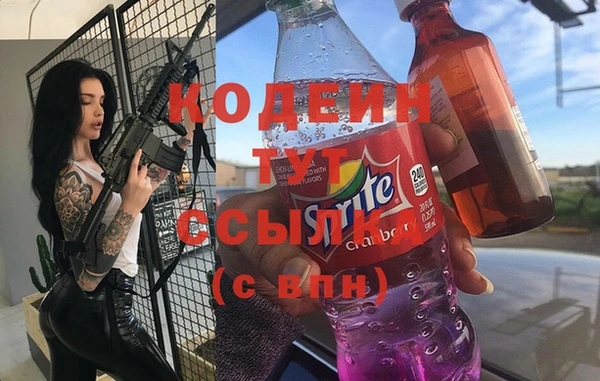 ECSTASY Бородино