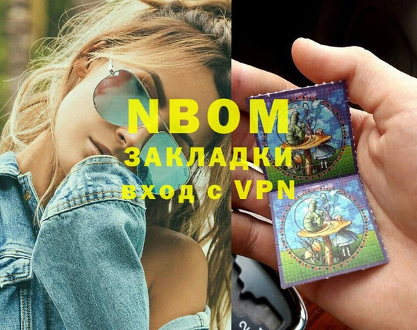ECSTASY Бородино