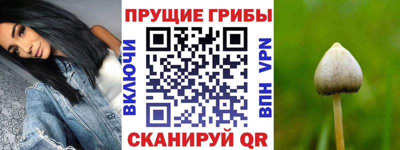 Галлюциногенные грибы прущие грибы Каменск-Уральский